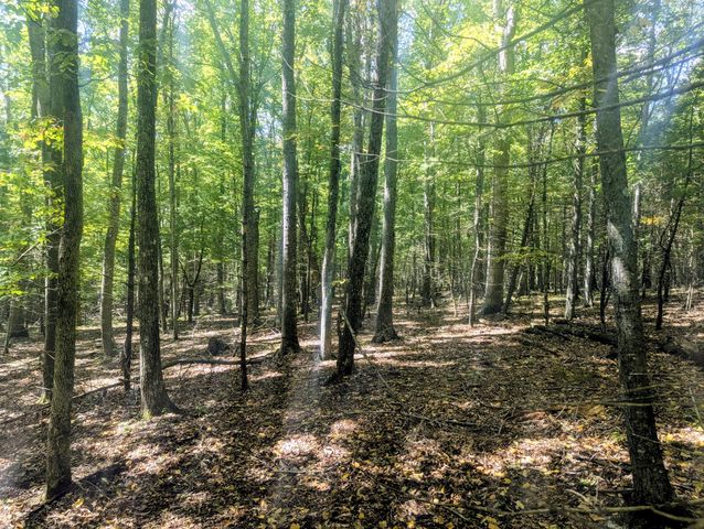 1705 Barberry RD, Floyd, VA 24091