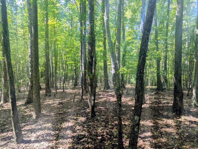 1705 Barberry RD, Floyd, VA 24091