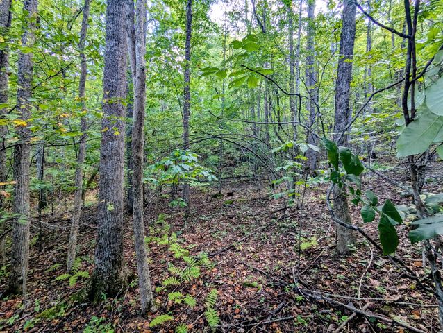 1705 Barberry RD, Floyd, VA 24091