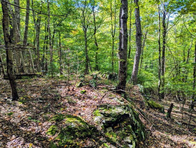 1705 Barberry RD, Floyd, VA 24091