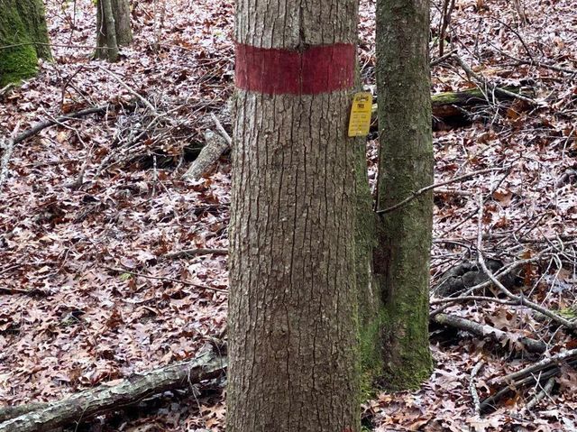 551 Rogers Road, Corbin, KY 40701