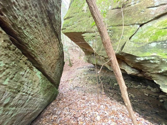 551 Rogers Road, Corbin, KY 40701