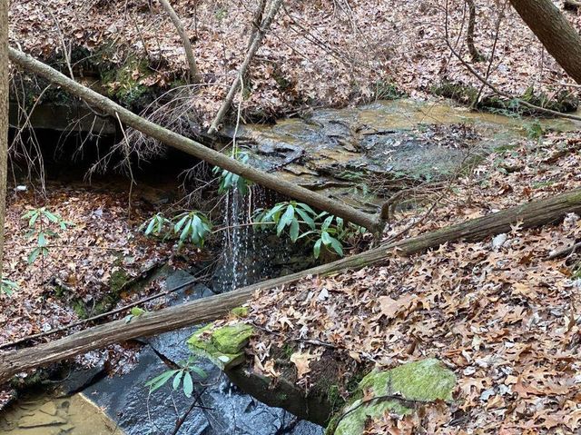 551 Rogers Road, Corbin, KY 40701