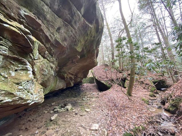 551 Rogers Road, Corbin, KY 40701