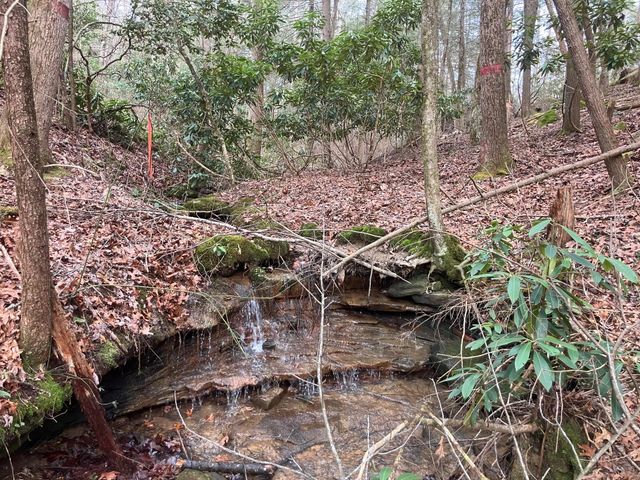 551 Rogers Road, Corbin, KY 40701