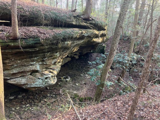 551 Rogers Road, Corbin, KY 40701