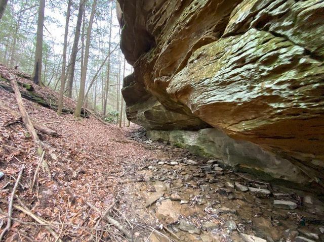 551 Rogers Road, Corbin, KY 40701