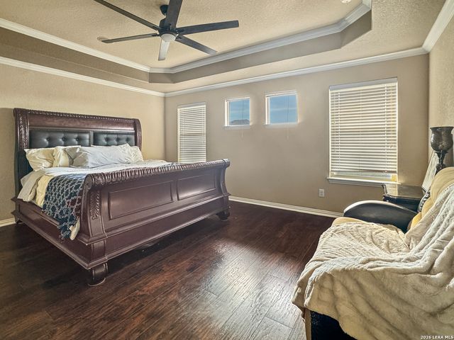 26015 Sassafras, San Antonio, TX 78261