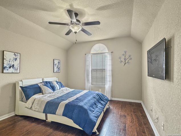 26015 Sassafras, San Antonio, TX 78261