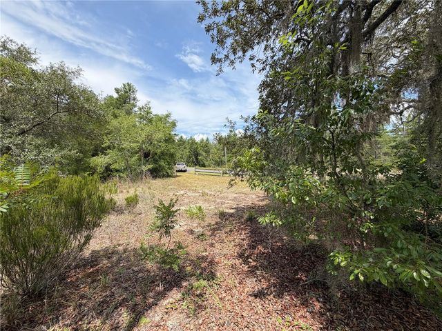 9730 NE STATE ROAD 24, Archer, FL 32618