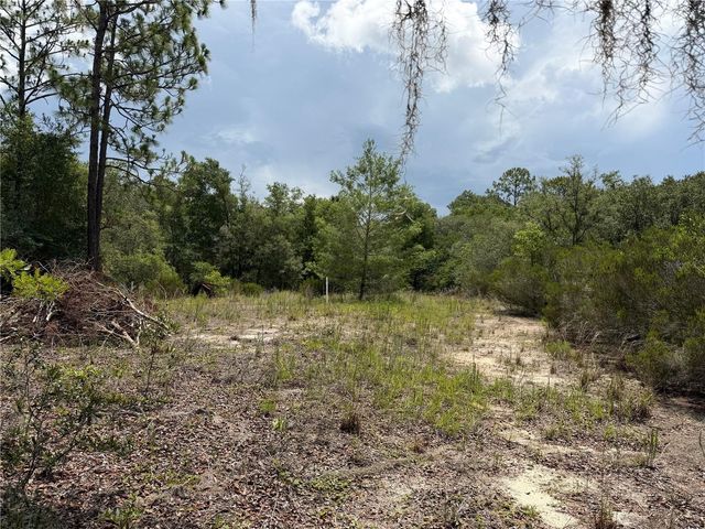 9730 NE STATE ROAD 24, Archer, FL 32618