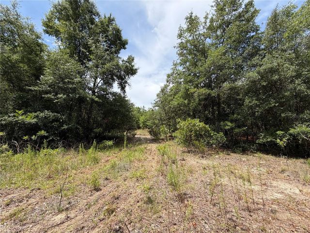 9730 NE STATE ROAD 24, Archer, FL 32618