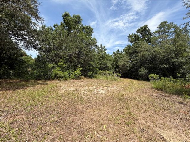 9730 NE STATE ROAD 24, Archer, FL 32618