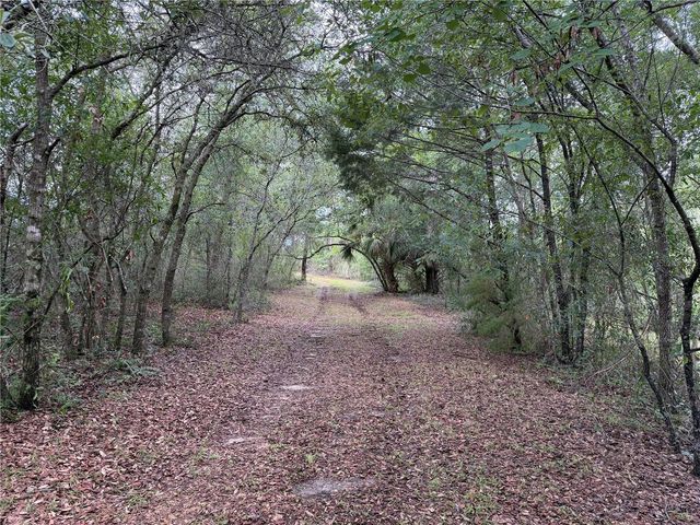 9730 NE STATE ROAD 24, Archer, FL 32618