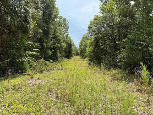 9730 NE STATE ROAD 24, Archer, FL 32618