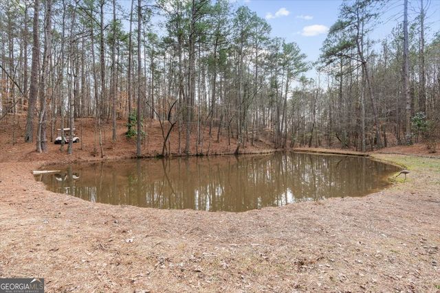 455 M Sanders Road, Buchanan, GA 30113