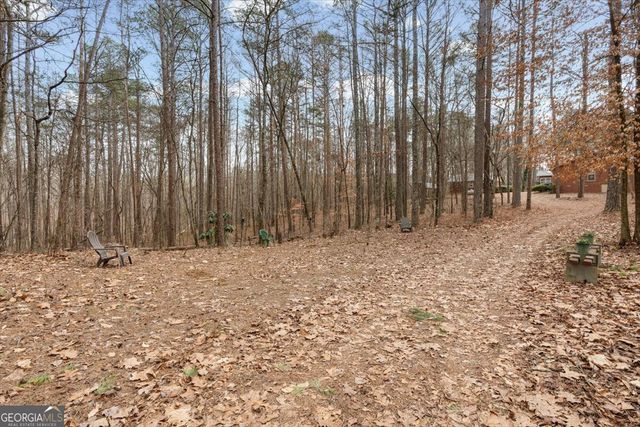 455 M Sanders Road, Buchanan, GA 30113