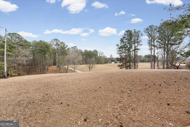 455 M Sanders Road, Buchanan, GA 30113