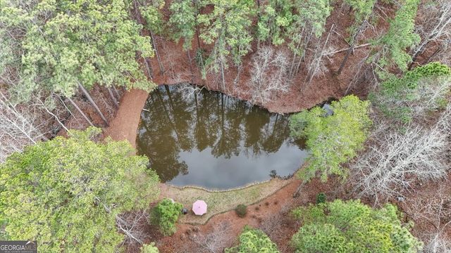 455 M Sanders Road, Buchanan, GA 30113