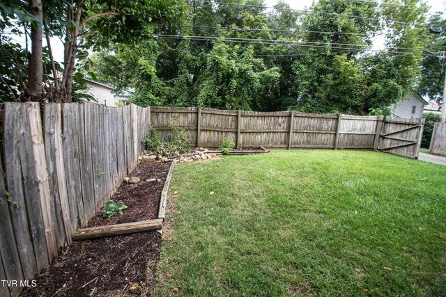 809 Hamilton Street, Johnson City, TN 37604
