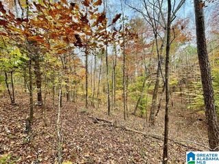 0 MJHS BONE DRY ROAD, Warrior, AL 35091
