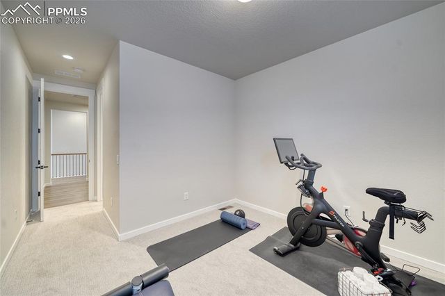 10059 Owl Perch Loop, Colorado Springs, CO 80908