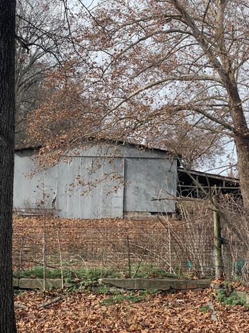 10256 Otter Drive, Neosho, MO 64850