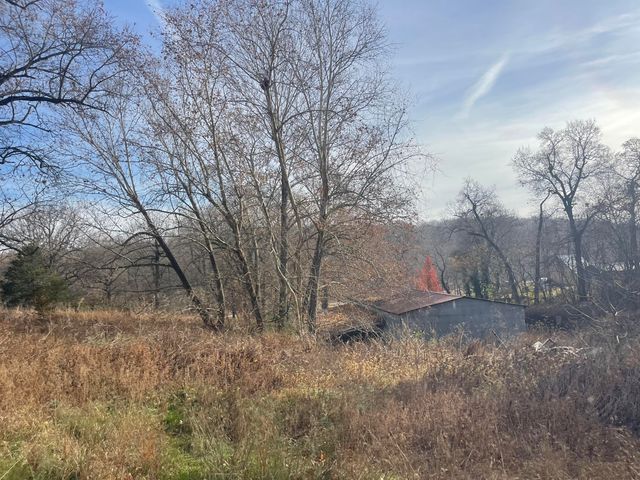 10256 Otter Drive, Neosho, MO 64850