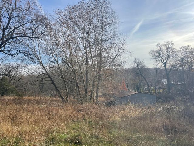 10256 Otter Drive, Neosho, MO 64850