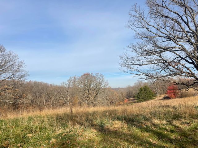 10256 Otter Drive, Neosho, MO 64850