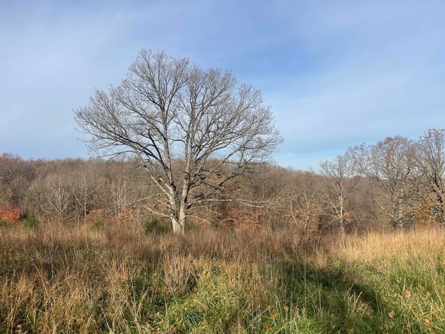 10256 Otter Drive, Neosho, MO 64850