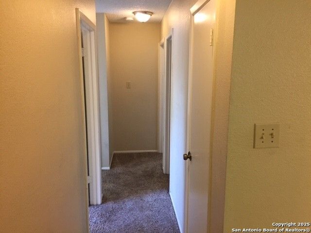 9923 MISTY PLAIN DR, San Antonio, TX 78245