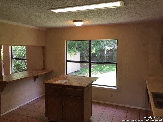 9923 MISTY PLAIN DR, San Antonio, TX 78245