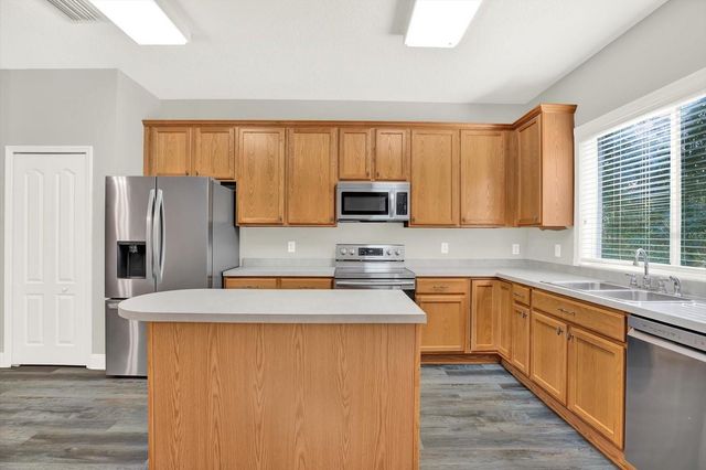 17454 STINCHAR DRIVE, Land O Lakes, FL 34638