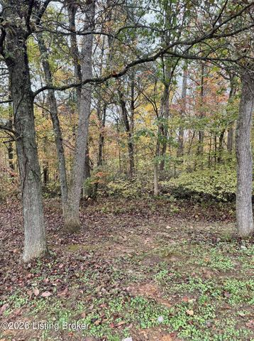 9734 W Highway 86, Irvington, KY 40146