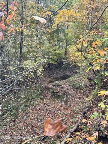 9734 W Highway 86, Irvington, KY 40146