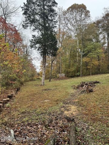 9734 W Highway 86, Irvington, KY 40146