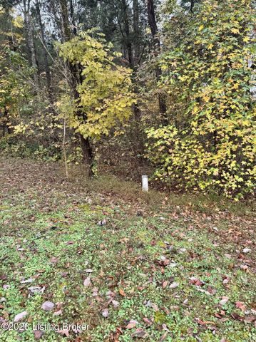 9734 W Highway 86, Irvington, KY 40146