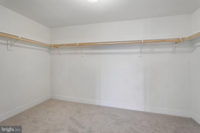 5401 WILLOW FOREST CT, Clifton, VA 20124