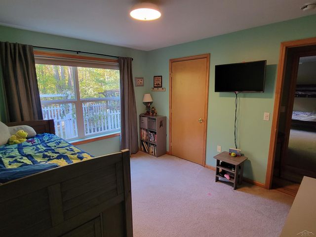 4455 N Wildwood Drive, Pinconning, MI 48650