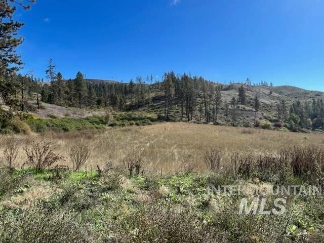 TBD Lot 1 Elk Hill Road, Kamiah, ID 83536