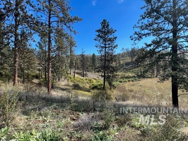 TBD Lot 1 Elk Hill Road, Kamiah, ID 83536