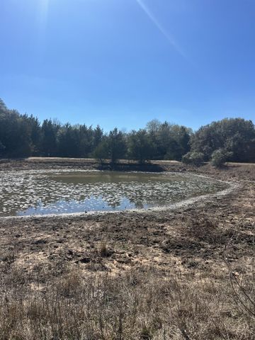 1165 Cr 213 Tract 2, Weimar, TX 78962