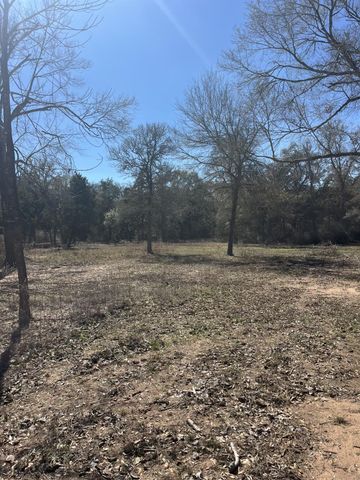 1165 Cr 213 Tract 2, Weimar, TX 78962