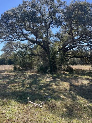 1165 Cr 213 Tract 2, Weimar, TX 78962