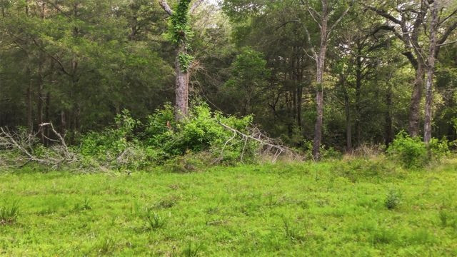 1165 Cr 213 Tract 2, Weimar, TX 78962