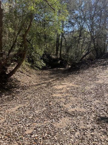 1165 Cr 213 Tract 2, Weimar, TX 78962