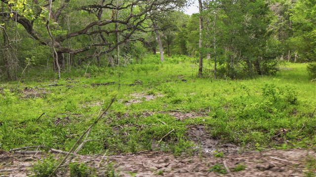 1165 Cr 213 Tract 2, Weimar, TX 78962