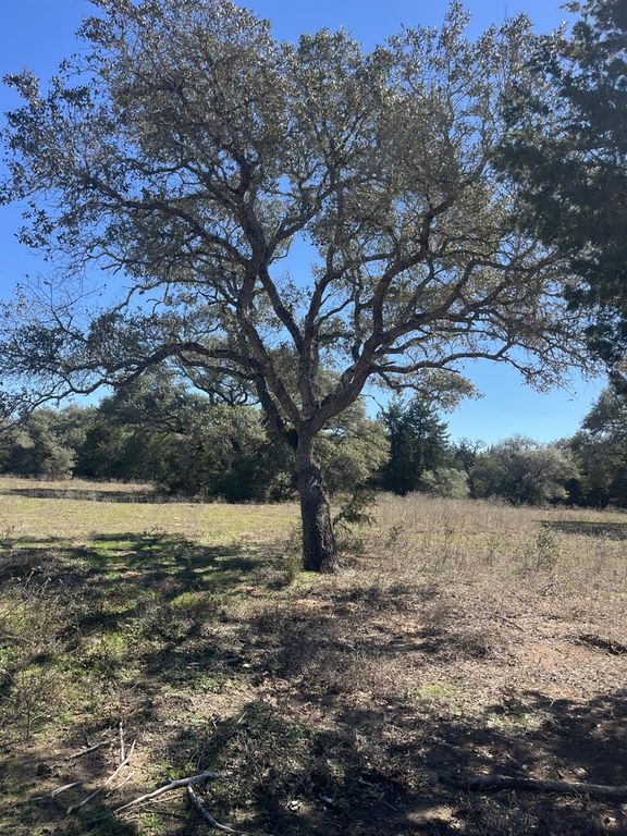 1165 Cr 213 Tract 2, Weimar, TX 78962
