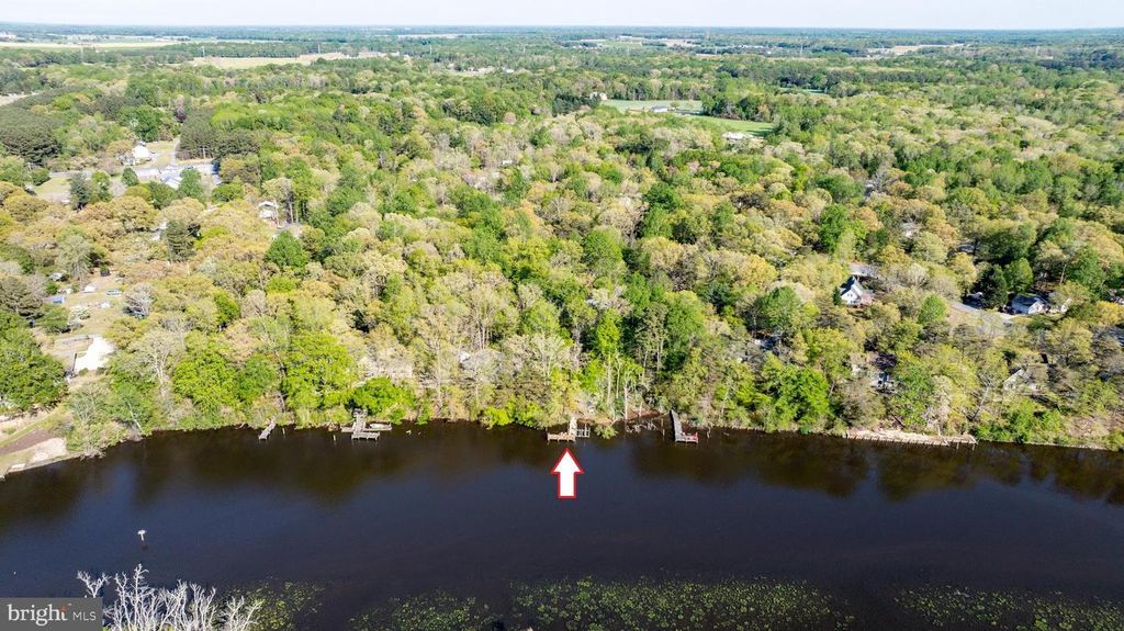 Image 16 of property listing at 25305 SANDY POINT RD, Greensboro, MD 21639